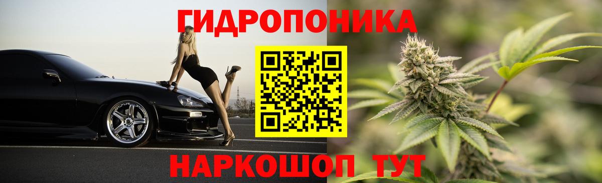 Каннабис конопля Волжский
